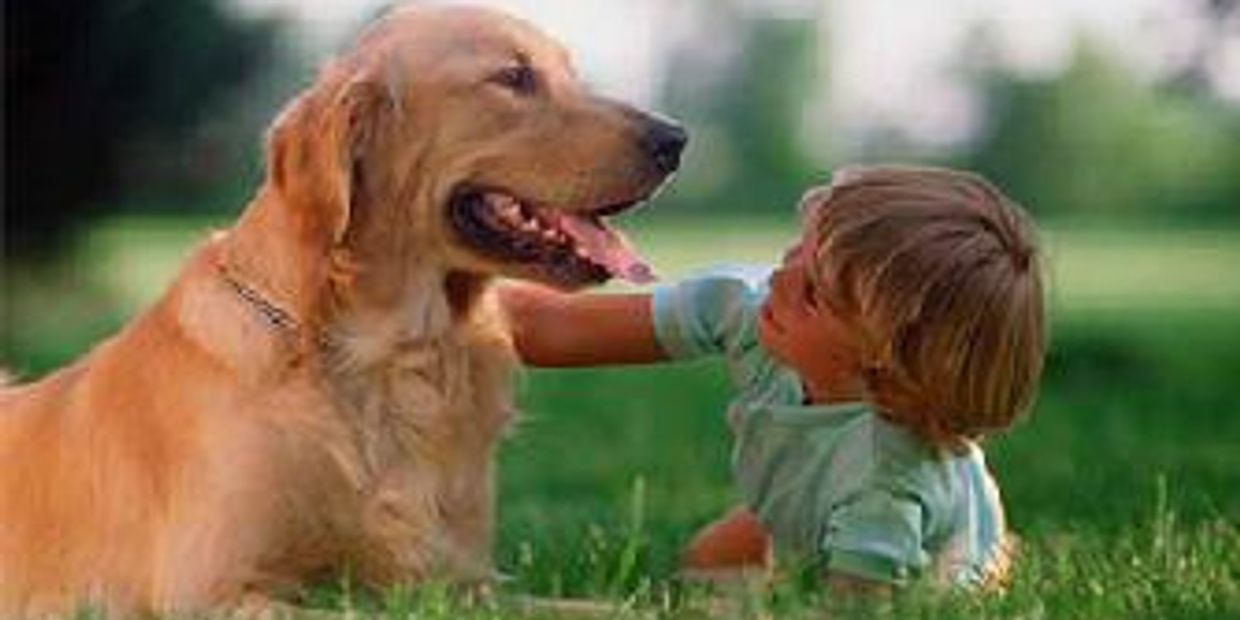 F.A.Q. Kendrick Farm HOA